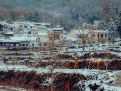 -塔川景区