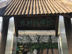 -上海都市菜园