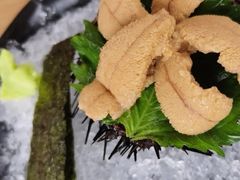 -Hatsune隐泉日式料理(三里屯太古里店)