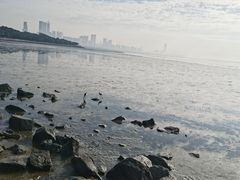 -深圳湾公园(南山区)
