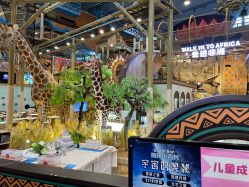 -卡通尼·Safari非洲探索乐园·生日会(金桥国际商业广场店)