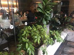 门面-gaga(深圳南山益田假日广场店)