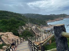 -广东惠东海龟国家级自然保护区