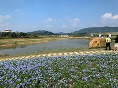 -光明小镇欢乐田园