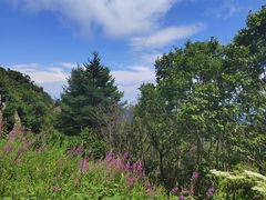 -白草畔自然风景区