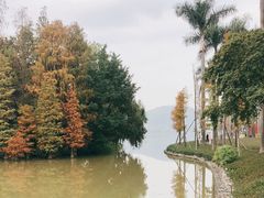 -顺峰山公园