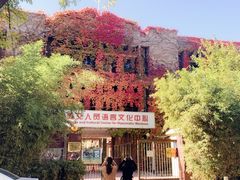 -三里屯东五街银杏大道