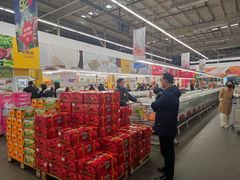 -麦德龙(郑东店)