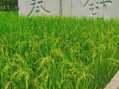 -北坞公园