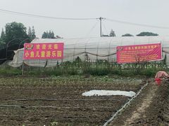 -小鱼草莓采摘园农家乐·小鱼餐厅
