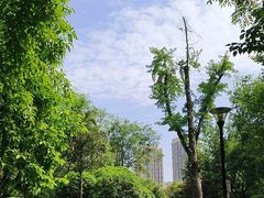 -龙头寺公园
