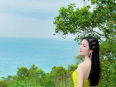 -广东惠东海龟国家级自然保护区