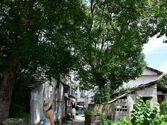 -楠溪江风景名胜区