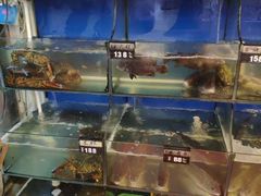 水产区-渔中舟海鲜大排档(普陀沈家门店)