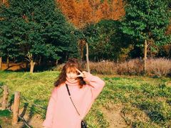 -贵阳市花溪国家城市湿地公园