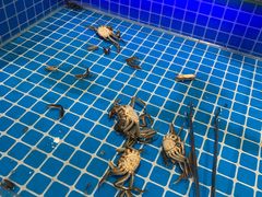 -万象·复兴号鲜肉烤肉海鲜自助(升级店)