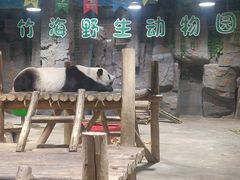 -栾川竹海野生动物园