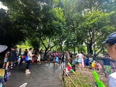 -成都市活水公园