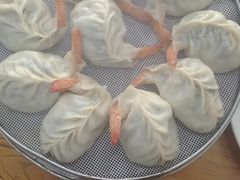 -小叶大馅饺子城