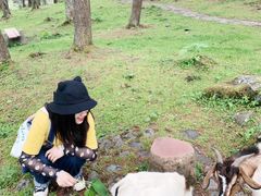 -硗碛藏寨·神木垒景区