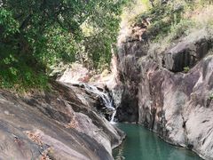 -广州白江湖森林公园