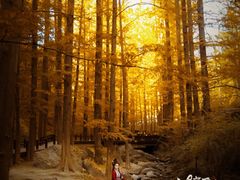 -九月鹰飞汉服摄影工作室