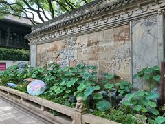 -上海醉白池公园