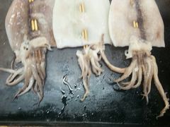-烁佳海鲜大馅饺子