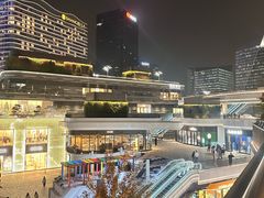 -凤凰湘语(浦东旗舰店)