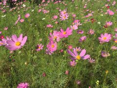 -回龙观体育文化公园