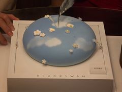 -BLACKSWAN黑天鹅(环球店)