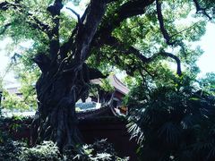 -三苏祠