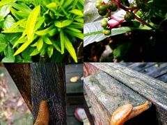 -七仙岭温泉国家森林公园