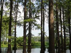 -渌洋湖湿地公园