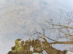 -重庆彩云湖湿地公园