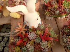 -龙大花卉苗木市场