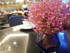 餐具摆设-鹿港小镇(金虹桥国际中心店)