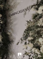 -琥珀婚礼策划AMBER WEDDING