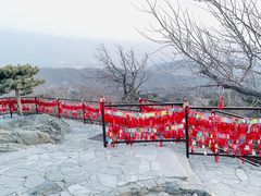 -香山公园