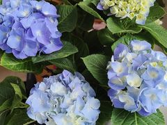 -恒达综合农贸市场(黄山路店)