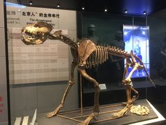 -北京周口店北京人遗址博物馆