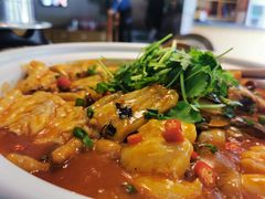 千岛湖有机胖头鱼-魏铭鱼头捞饭(晋阳路店)