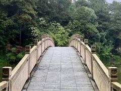 -铁山坪森林公园