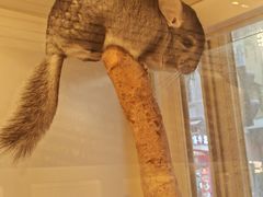 -龙猫仔乐园(惠福东路店)