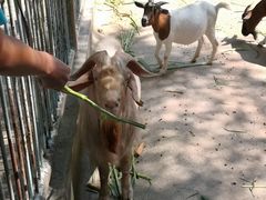 -广东茂名森林公园
