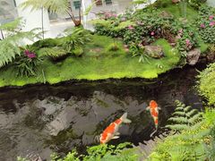 -罗红摄影艺术馆