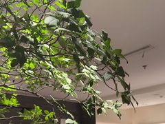 -胡大饭馆 24h(簋街总店)