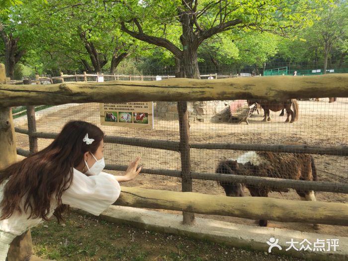 西安秦岭野生动物园图片