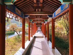 -百脉泉景区
