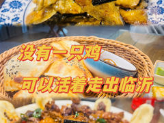 -向民炒鸡老店(金泰华府店)